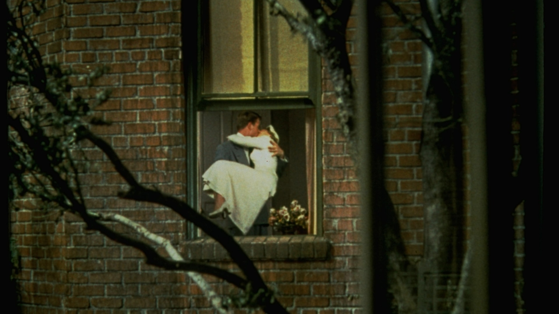 Arka Pencere görsel 2